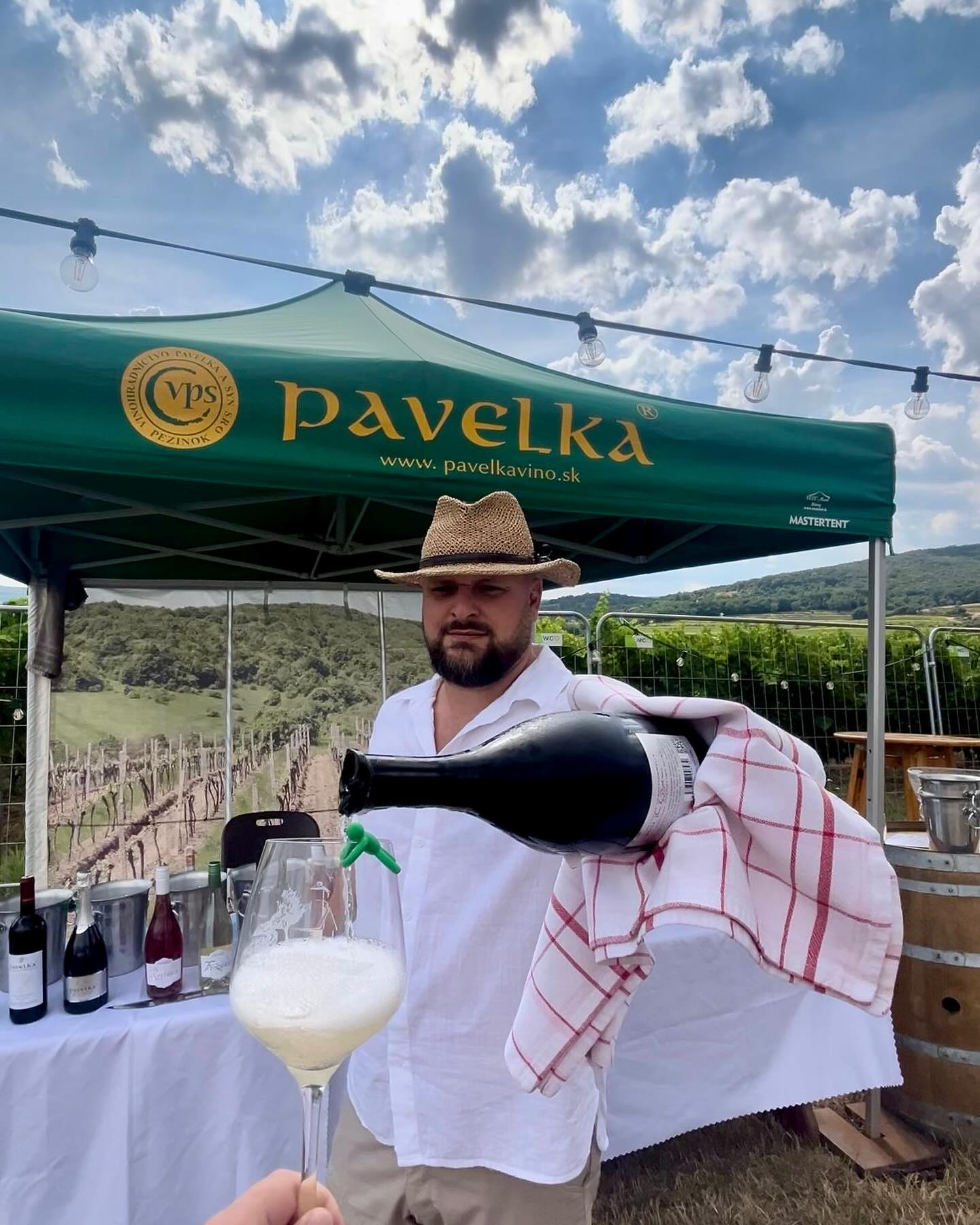 Pavelka